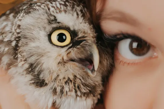 فيغاس وايلد كازينو الدعم